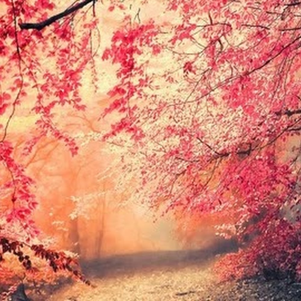 Meet your Posher, Julianna